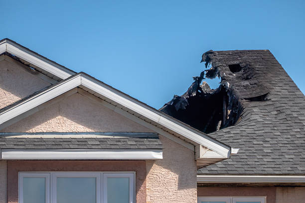 Top rated local Fire Damage Removal specialists in Osprey, FL